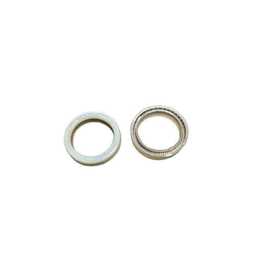 730710649 Oil Seal Spring Energized Seal